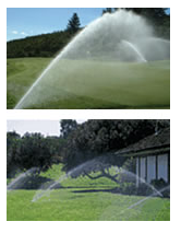 Image of sprayers