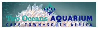 two oceans aquarium Logo